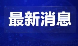 热点爆料深圳新闻最新消息,揭秘城市新动态与重大事件