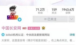 爆料澳门网红视频大全,视频大全带你领略璀璨魅力