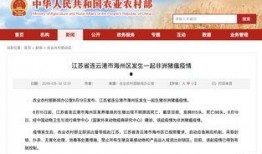 最新江苏热点爆料新闻直播,揭秘XX事件背后的真相与影响